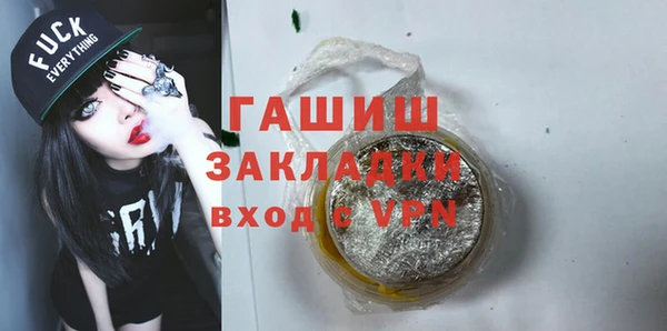 хмурый Алексин