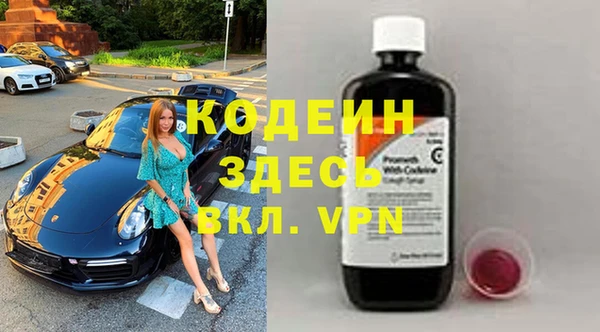 хмурый Алексин