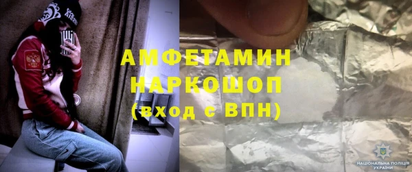 хмурый Алексин