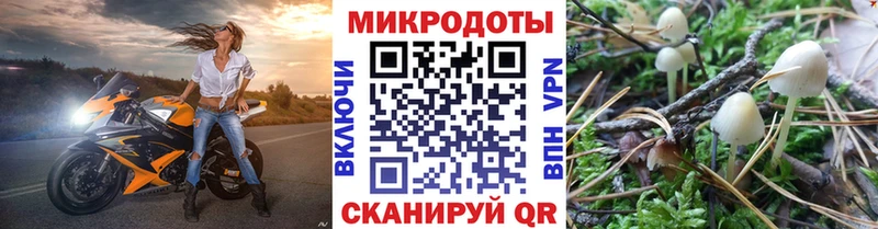 Галлюциногенные грибы Cubensis  Нурлат 