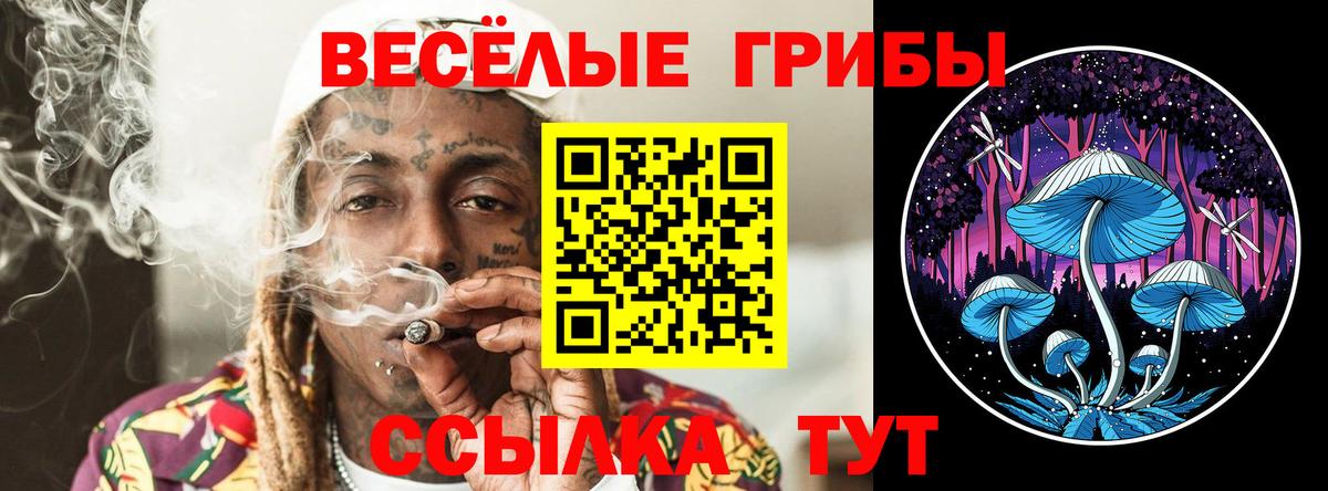 Псилоцибиновые грибы Psilocybine cubensis Нурлат